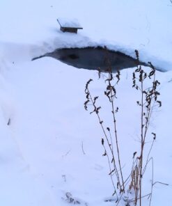 Aquascape 75000 Pond Air 2 (Double Outlet Aeration Kit) 2-Outlet 71 61dIa0THCVL