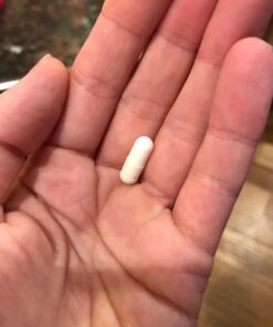 Alternative view of Align Probiotic, Probiotics for Women and Men, Daily Probiotic Supplement for Digestive Health*, #1 Recommended Probiotic by Doctors and Gastroenterologists‡, 63 Capsules 63 capsules