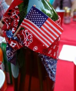 Beistle United States Of America Flag Food Picks 50 Piece Patriotic Party Supplies USA 4th Of July Decorations Labor Day Tableware, Red/White/Blue, 2.5" 2.5" 43 61dWXuT39L