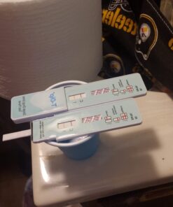 Prime Screen EtG Alcohol Urine Test - at Home Rapid Testing Dip Card Kit - 80 Hour Low Cut-Off 300 ng/mL - WETG-114 (5) 5 25 61dZHa8cpL