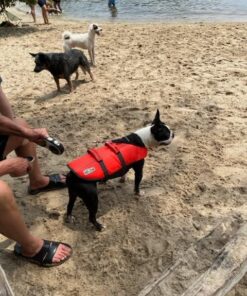 Outward Hound Granby Splash Orange Dog Life Jacket, Medium Granby (Flotation) Medium (Chest Girth: 21"-27") 30 61dbiONxiXL