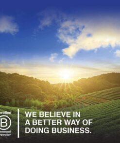 Garden of Life Multivitamin for Women, Vitamin Code Women's Multi, Whole Food Womens Multi, Vitamins, Iron, Folate not Folic Acid & Probiotics for Womens Energy, Vegetarian Supplements, 120 Capsules 120 Count (Pack of 1) 32 61dcKdDPUIL