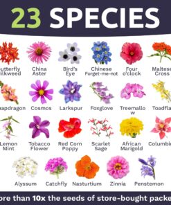 Wildflower Seeds Butterfly and Humming Bird Mix - Large 1 Ounce Packet 7,500+ Seeds - 23 Open Pollinated Annual and Perennial Species 1 Ounce Pouch 31 61ddZF0gNlL