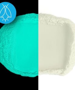 Glow in The Dark Pigment Powder - Neutral and Fluorescent color for Art Painting, Fine Art, Nail Art Paint, and DIY Crafts - Non-Toxic, Long Lasting 10+ Color Options - Neutral Aqua - (12 Grams) 12 Grams 26 61dpUzwOgEL