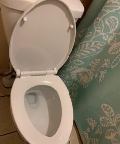 Delta Faucet Morgan Elongated Slow-Close White Toilet Seat with Non-Slip Seat Bumpers, White 811903-WH Slow Close 38 61drU56pksL