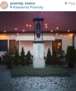 String Light Company Vintage 48-Ft Outdoor Commercial String Lights with 15 Suspended Sockets and 15 Clear S14 Bulbs, 16 Gauge Black Cord Clear Bulbs 11 61ds7QD1YDL