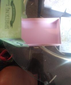 Spiritsong Tarot 65 61dx5jLYcJL