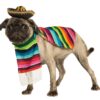 Rubie's Costume Serape and Hat Pet Costume, Multicolor, L Neck 18 Girth 23 Back 22 US L (Neck: 18", Girth: 23", Back: 22") 1