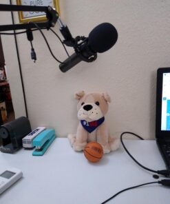 Samson Technologies Q2U USB/XLR Dynamic Microphone Recording and Podcasting Pack (Includes Mic Clip, Desktop Stand, Windscreen and Cables), silver Q2U Gray 22 61dz6AwPaML