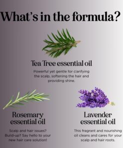 Tea Tree Shampoo for Oily Hair - Paraben and Sulfate Free Clarifying Shampoo for Build Up and Dry Scalp with Tea Tree Oil for Hair - Purifying Aromatherapy Tea Tree Oil Shampoo for Greasy Hair 21 61eEe77t5hL