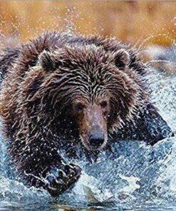 The Jungle Book (BD + DVD + Digital HD) Blu-ray August 30, 2016 28 61eF0yXwNPL