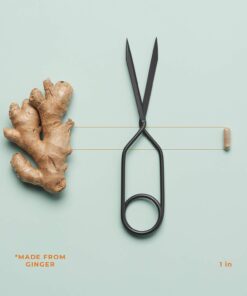 PreMense-T - Proactive PMS Relief Supplement - Support for Hormonal Imbalance, Bloating, Cramping & Breast Tenderness - Ginger, Crampbark, Dong Quai, Chasteberry & Vitamin B6-60 Capsules 17 61eGBrHY1sL