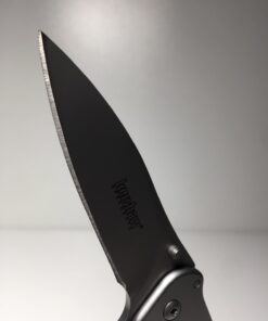 Kershaw Zing SS Pocketknife, 3" 8Cr13MoV Stainless Steel Blade, Assisted Thumb-Stud and Flipper Opening EDC 67 61eHvK43CxL