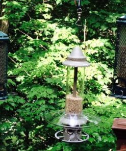 Weather Guard for Squirrel Buster Plus Bird Feeder (FEEDER NOT INCLUDED) 13" Diameter 42 61eHxGLOCuL
