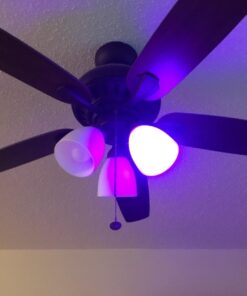 Kobra LED Color Changing Light Bulb with Remote Control - 16 Different Color Choices Smooth, Fade, Flash or Strobe Mode - Smart Remote Lightbulb -RGB & Multi Colored 1 Count (Pack of 1) 45 61eSKrHI6 L 1