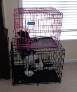 Medium Dog Crate | MidWest Life Stages 30" Double Door Folding Metal Dog Breed Crate | Divider Panel, Floor Protecting Feet & Dog Pan | 30.6L x 19.3W x 21.4H Inches 30.6"L x 19.3"W x 21.4"H Lifestages; Double Door 42 61eSdLiNWqL