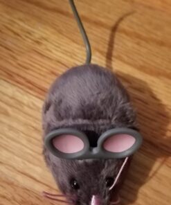 HEXBUG Mouse Robotic Cat Toy (GREY) for all breed sizes 30 61eWLIM3zZL