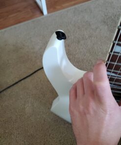 D'Addario Accessories Elliptical End Pins, Black 27 61eYcZugWRL