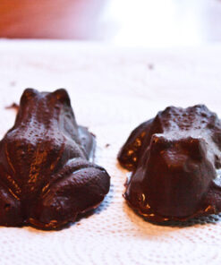 Cybrtrayd Life of the Party Frog Chocolate Candy Mold in Sealed Protective Poly Bag Imprinted with Copyrighted Cybrtrayd Molding Instruction 33 61eeP2N xAL