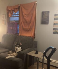 Furinno Simplistic Set of 2 End Table, French Oak Grey/Grey French Oak/Grey 2-Pack, Plastic Pole 15.6 x 15.6 40 61ekLUT BPL