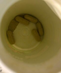 Vegan Whole Food Multivitamin with Iron, Daily Multivitamin for Women and Men, Made with Fruits & Vegetables, B-Complex, Probiotics, Enzymes, CoQ10, Omegas, Turmeric, Non-GMO, 90 Count 90 Count (Pack of 1) 32 61esOEcs5xL