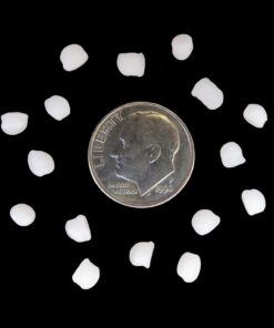 Polly Plastics Polypropylene Plastic Poly Pellets - 2 lb Rock Tumbling Media for Enhanced Tumbling Action 6 61ewmWSm2JL