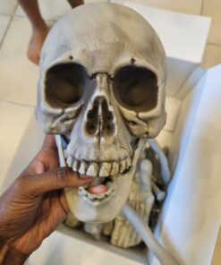 Kangaroo Halloween Bag of Skeleton Bones and Skull- Halloween Graveyard Props- Haunted House Lawn Yard Decorations- Scary Halloween Decorations 30 Pieces Bag of Plastic Bones 33 61ezVLKRBrL