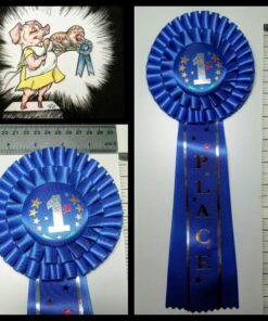 Beistle 1st Place Deluxe Rosette, (1 Count), 4.5 Inches by 13.5 Inches 17 61f GUpfySL