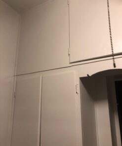 Savogran 10621 Trisodium Phosphate (TSP) 1LB (16oz) 38 61f3lOwUBL