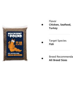 MBTP Bulk Dried Mealworms - Treats for Chickens & Wild Birds (11 Lbs) 14 61fA uOKgML