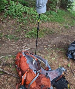 Cascade Mountain Tech Trekking Poles - Carbon Fiber Walking or Hiking Sticks with Quick Adjustable Locks Green 56 61fCKhD5PaL