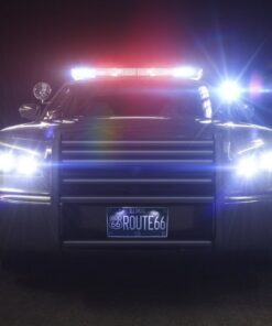 RUPSE 2pcs License Plate Light,12V Waterproof LED Bulb,License Tag Screw Bolt Lamp for Car Motorcycle Truck RV ATV Bike (White) White 28 61fDnTN0TlL