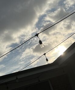 Lemontec Commercial Grade Outdoor String Lights with 15 Hanging Sockets - 48 Ft Black Weatherproof Cord Weatherproof Strand for Patio Garden Porch Backyard Party Deck Yard – S14 Black 35 61fG 89 UcL