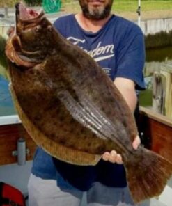 Berkley Gulp! Alive Swimming Mullet Soft Fishing Bait Chartreuse 4in - Pint 4x7 33 61fHVr4zlHL