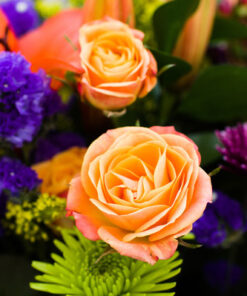 Nikon D3200 24.2 MP CMOS Digital SLR with 18-55mm f/3.5-5.6 Auto Focus-S DX VR NIKKOR Zoom Lens (Black) (OLD MODEL) Black w/ 18-55mm Base 54 61fHXCguGSL