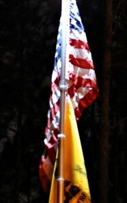 Sunnytech 2nd Generation Solar Flag Pole 20led Light, Brightest, Most Powerful, Longest Lasting & Most Flag Coverage, LED Downlight Light up Flag on Most 15 to 25Ft Flagpole, Upgraded Electric Circuit,White White 33 61fIKHhjoWL 2