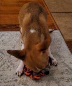 Petstages Mini Dental Chew Starter Pack for Puppies - 3 Pack Mini Chew 3 Pk 28 61fMjo YL