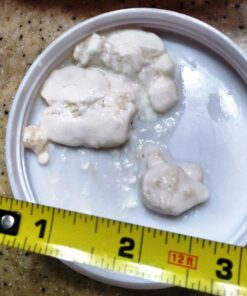 Live Milk Kefir Grains - Live Probiotic Culture 33 61fPqG4WRtL