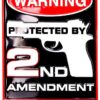 Tag City Novelty SP80063 Warning Protected By 2nd Amendment Security Metal Sign, (8 X 12 Inches)