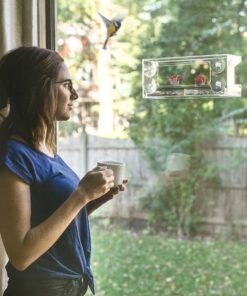 Wild Birds of Joy Window Bird Feeder with 4 Super Strong Suction Cups & Sliding Seed Tray, Large, Clear Acrylic, Easy Clean, Outdoor Bird Feeders, Outside View Up Close of Finch, Cardinal and Blue Jay 29 61fUSMu8AKL