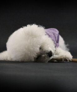 Savage Seamless Background Paper - #20 Black (53 in x 36 ft) 53 in x 36 ft 39 61fc5NhSLnL