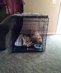 Dog Crates for Extra Large Dogs - XXL Dog Crate 48" Pet Cage Double-Door Best for Big Pets - Wire Metal Kennel Cage & Tray - in-Door Foldable & Portable for Animal Out-Door Travel 48.0"L x 29.0"W x 32.0"H 27 61fhj7NTe8L 1