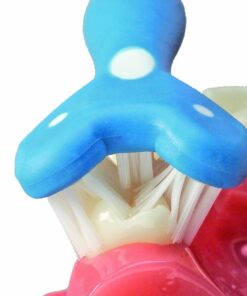 Surround® Toothbrush (Pack of 4) 6 61fl8EGiTIL