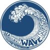 Wave Kite Surfing Hawaii Bumper Sticker 5" x 5" 40 61fwsoTLvcL