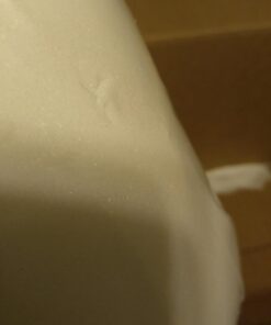 Spicy World Citric Acid 5 LB Bag | 100% Pure, Food Grade & Non-GMO | Versatile Citric Acid Powder for Cleaning, Bath Bombs, Preserving | Fine Granular | Premium Quality 5 Pound (Pack of 1) 48 61fz0wHWaL 1