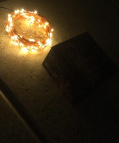 Lighting EVER Fairy Lights Plug in, 33ft 100 LED String Lights for Bedroom, Warm White Copper Wire Lights, Waterproof Indoor Outdoor Decorative Fairy Lights for Patio, Garden, Balcony, Vases, Craft 33 ft 56 61g0euj22lL