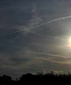 Nikon COOLPIX P900 Digital Camera (Black) 78 61gAVaIQkVL