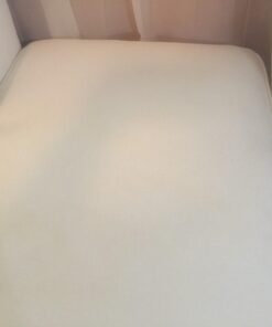 Blue Coral DC22 Upholstery Cleaner Dri-Clean Plus with Odor Eliminator, 22.8 oz. Aerosol 64 61gF6zFnGaL