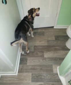 Momentive Performance Materials GE284 2.8-Ounce Silicone II Premium Waterproof Kitchen and Bath Squeeze Tube, Clear 6 61gN9qtWaL