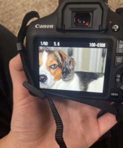 Canon EOS Rebel T7 DSLR Camera with 18-55mm Lens | Built-in Wi-Fi | 24.1 MP CMOS Sensor | DIGIC 4+ Image Processor and Full HD Videos 51 61gW0bVOH4L